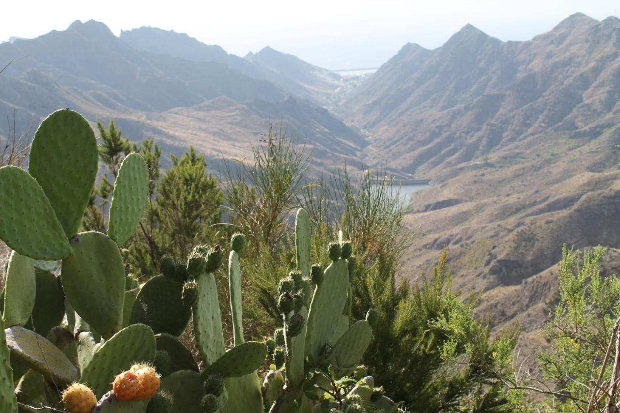 Welcome To Discover The Magic Amazing Tenerife !! Private Bath Breakast Wf :) Candelaria